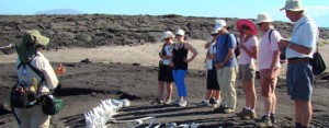 La importancia de los guías en Galápagos