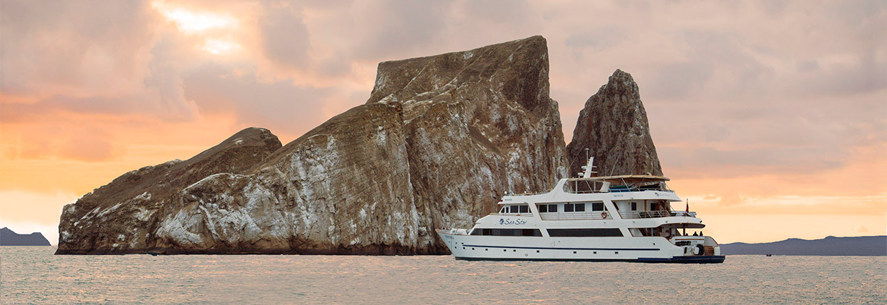 Sea Star Journey | Galapagos Journey