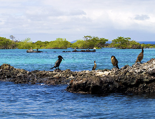 Which are the Best Galapagos Islands to Visit?