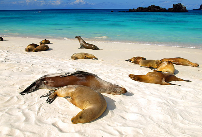 Bahía Gardner | Española | Galápagos