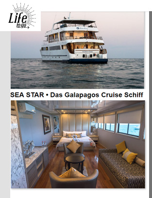Sea Star | Das Galapagos Cruise Schiff