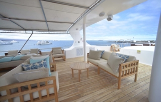 Sundeck | Sea Star Journey