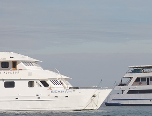 Sea Star Journey and Seaman Journey – New looks, the same great service