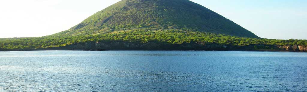 Galapagos Island - Galapagos Tours