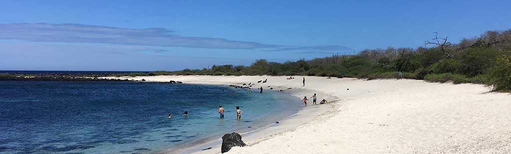Playa de Punta Carola - Galapagos Tours