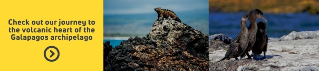 Viajes a Galápagos