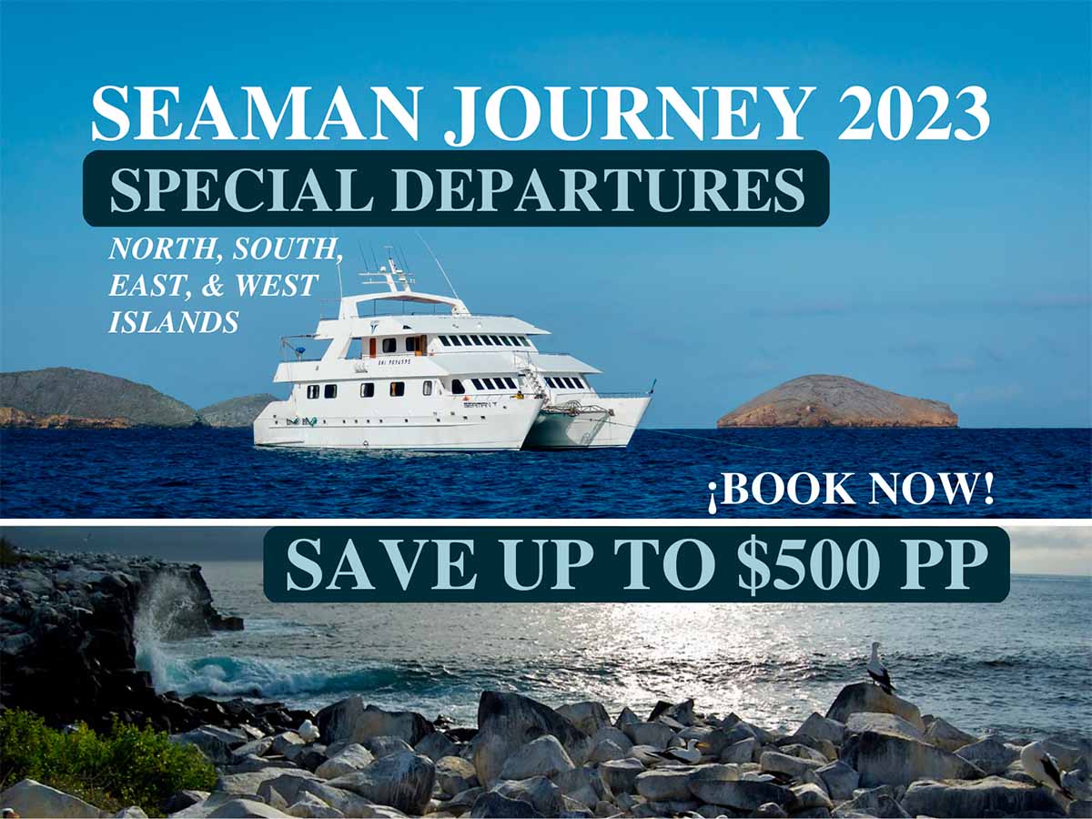 Seaman Journey Promotion 2023