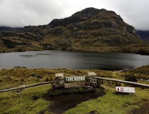 Cajas National Park, a biosphere reserve: Characteristics, attractions and activities