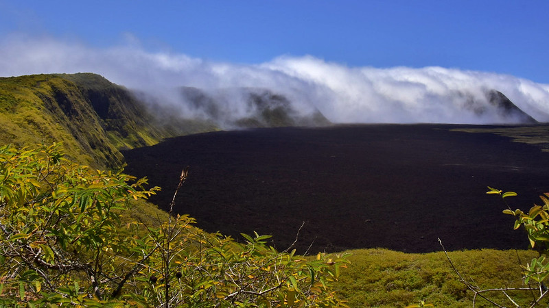 Sierra negra volcano Isabela island