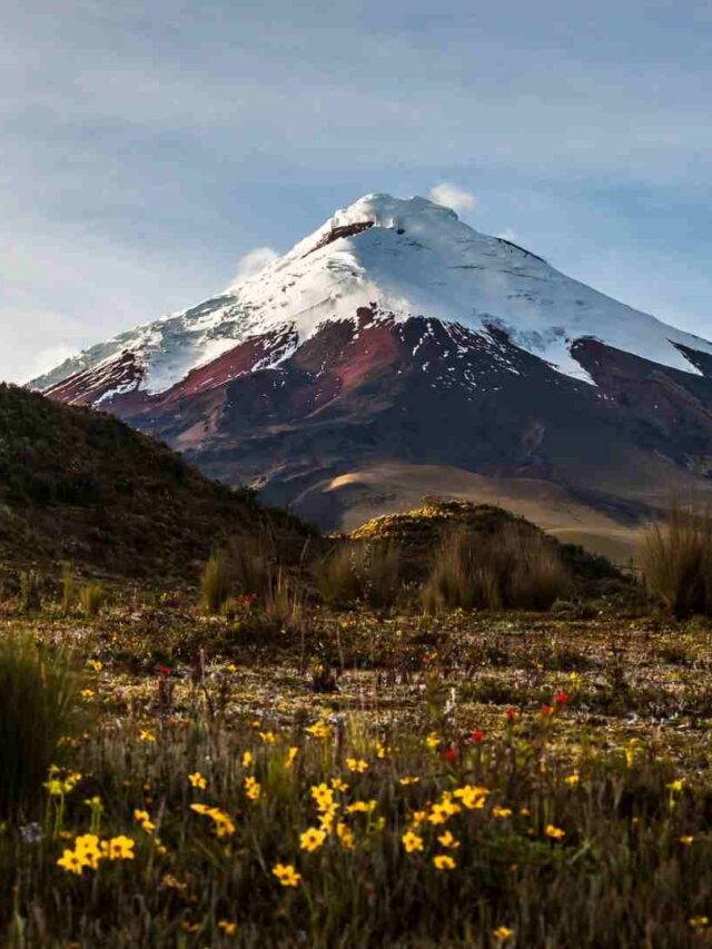 Ecuador