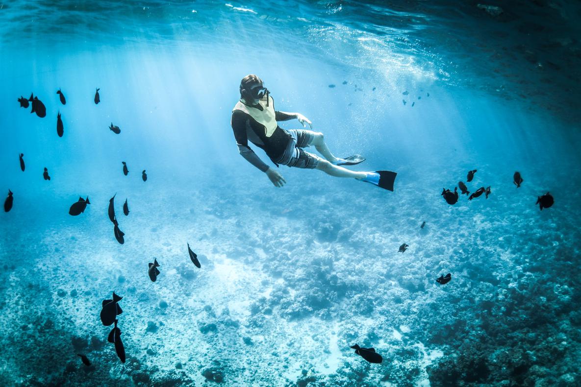 snorkeling galapagos