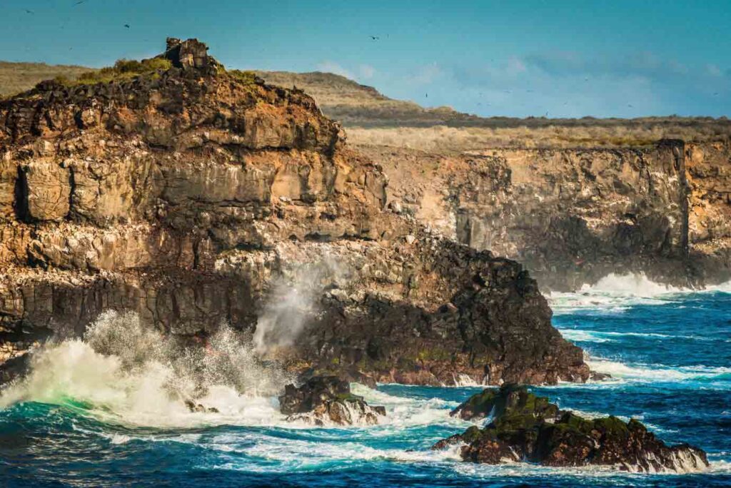 Punta Suárez - Galapagos