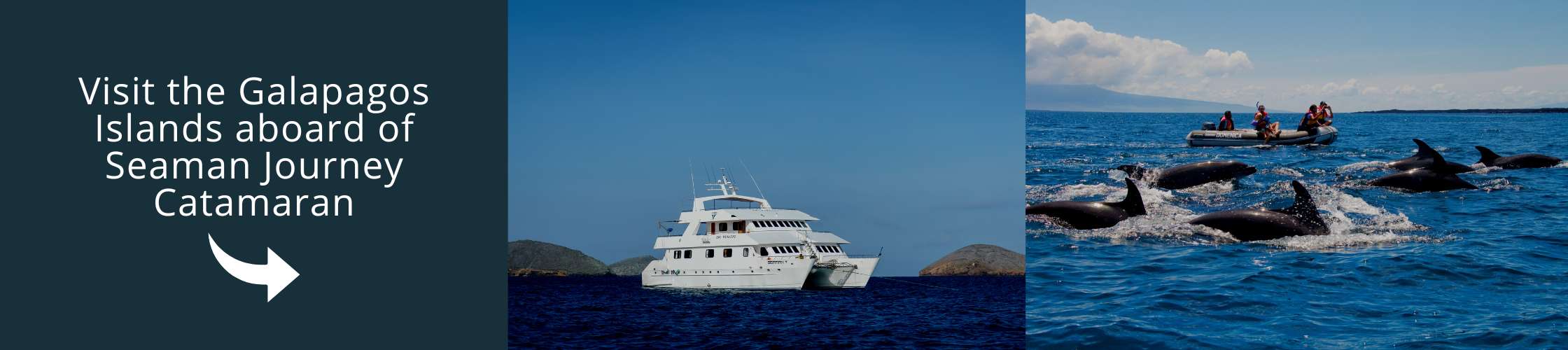 Galapagos Tours