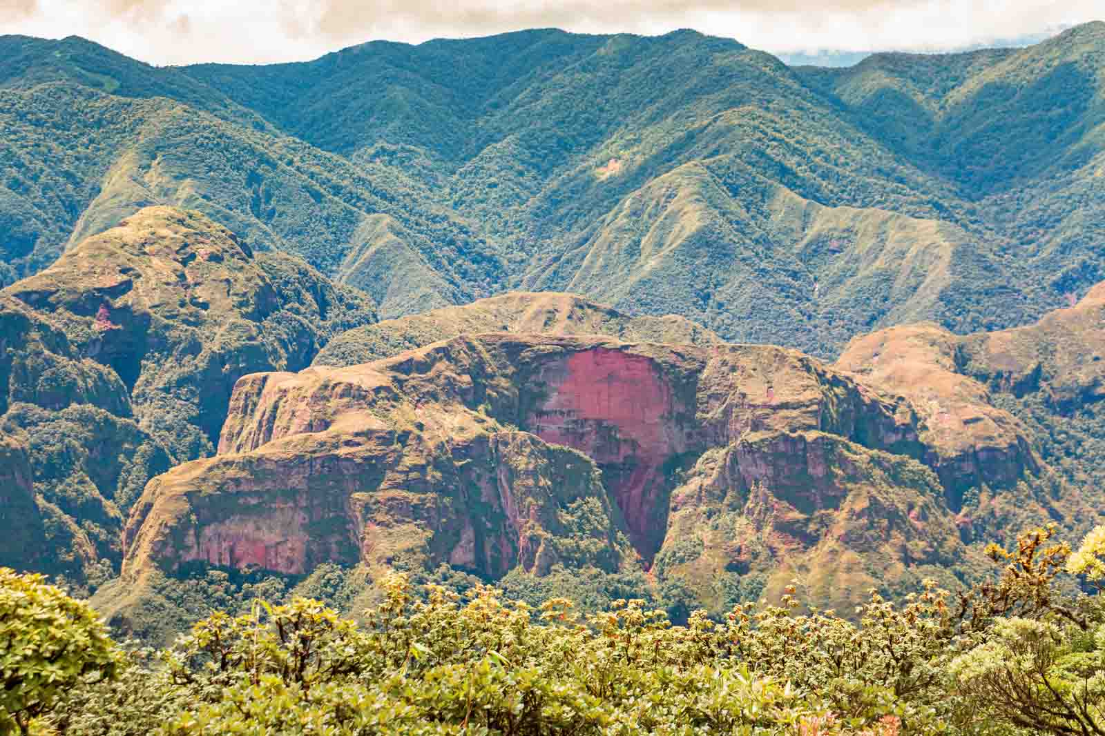 Parque Nacional Amboró | Bolivia