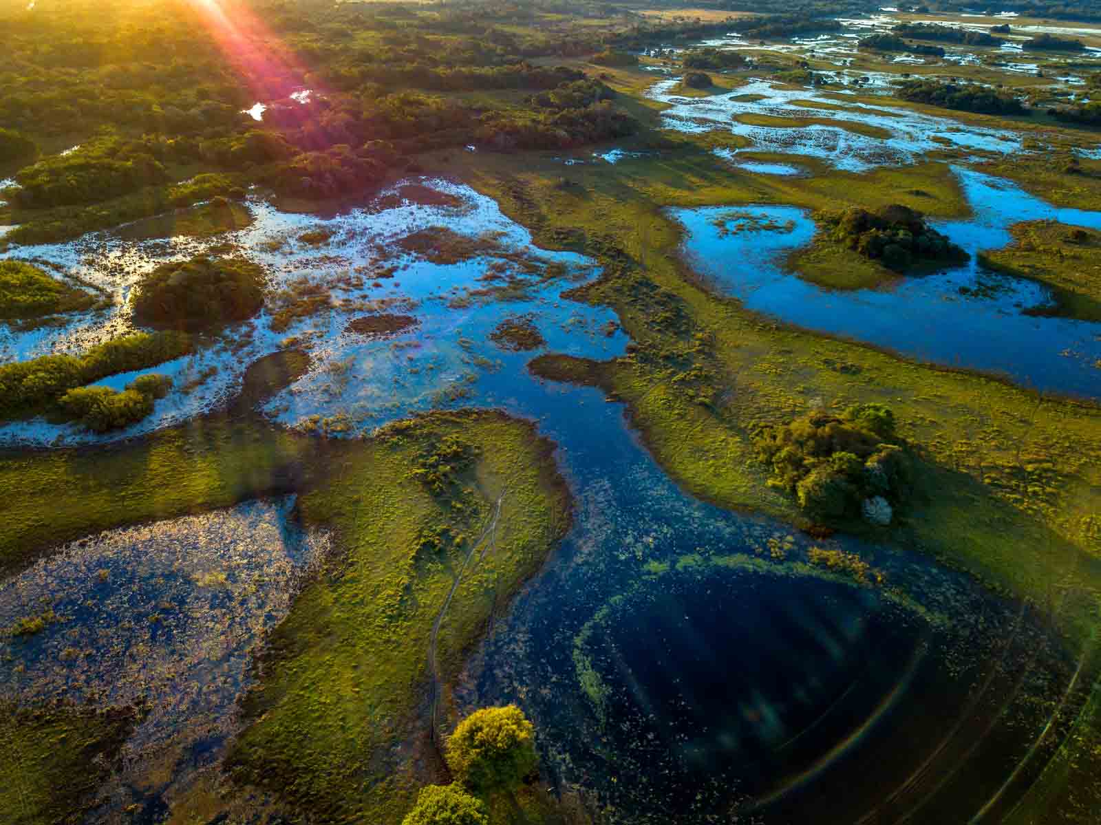 Parque Nacional de Pantanal Matogrossense | Brasil