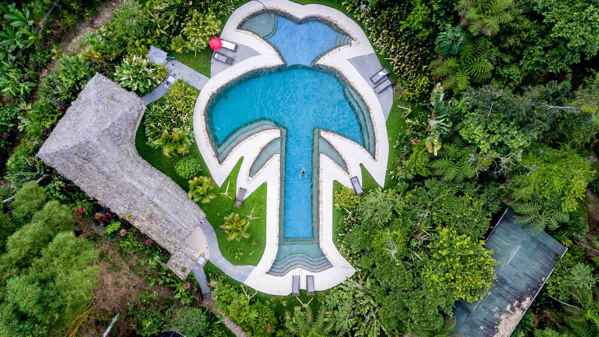 Swimming Pool Aerial - Hakuna Matata